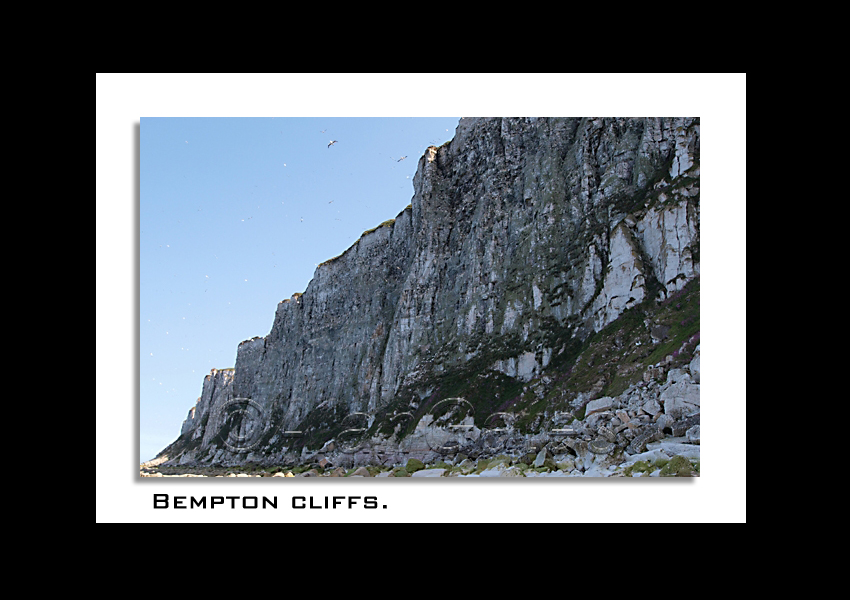 Bempton Cliffs in Yorkshire