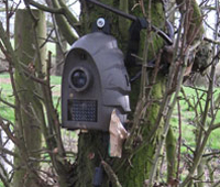 Camera in the woods